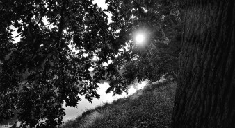 Černá hvězda nad hlavou